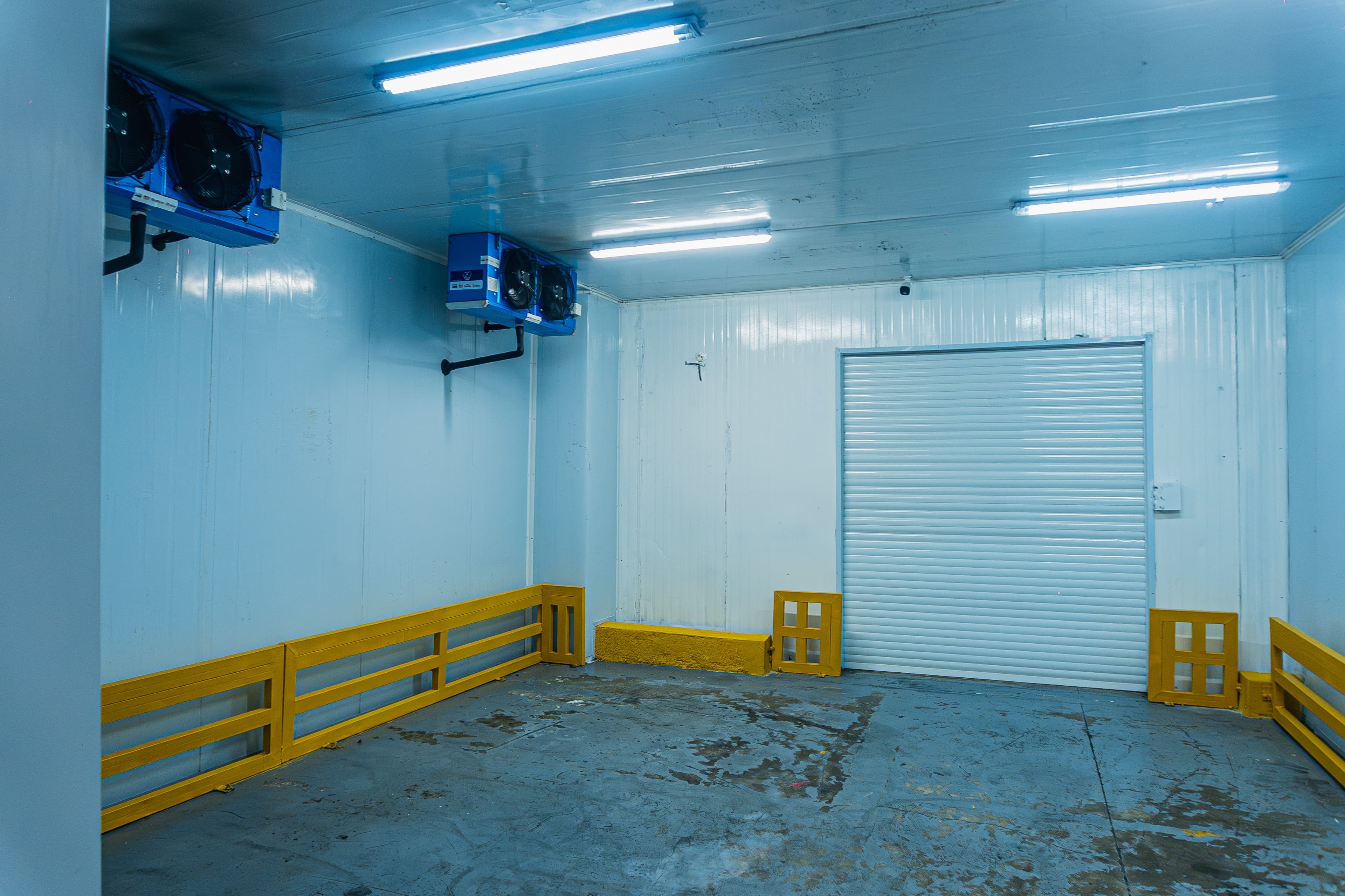 Cold room (2-8 °C)